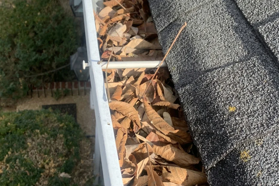 Gutter Cleaning Parma