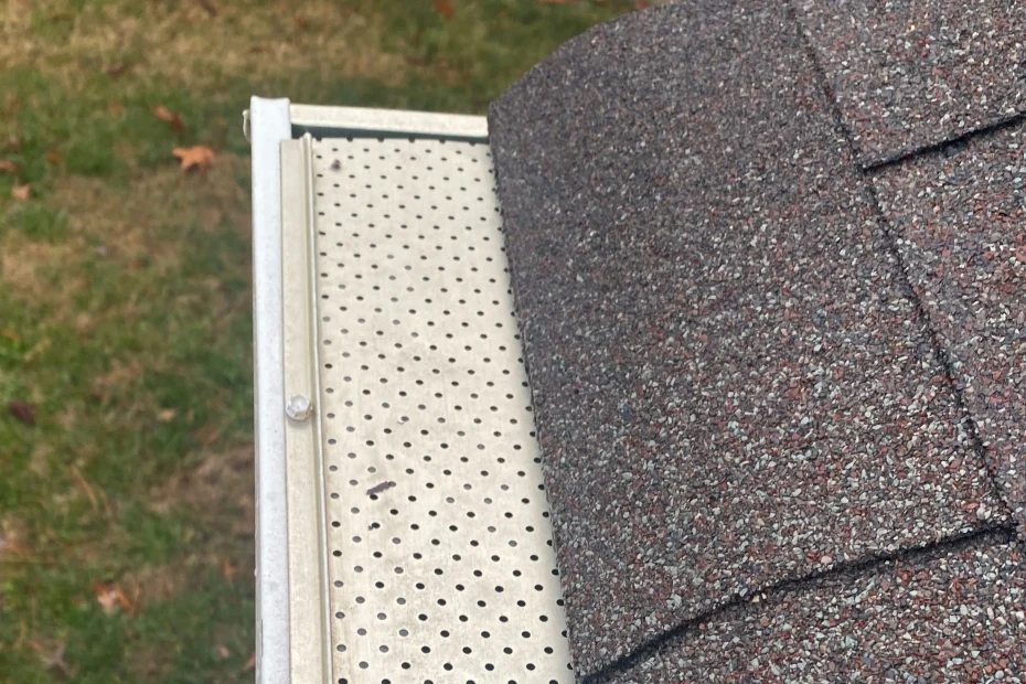 Gutter Cleaning Parma